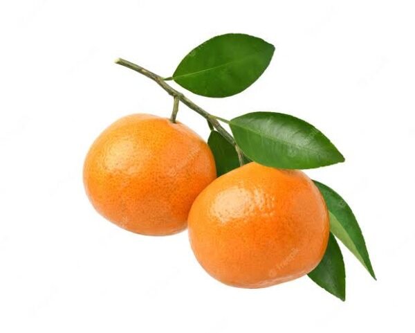 Orange | संतरा | Santra, 1 kg
