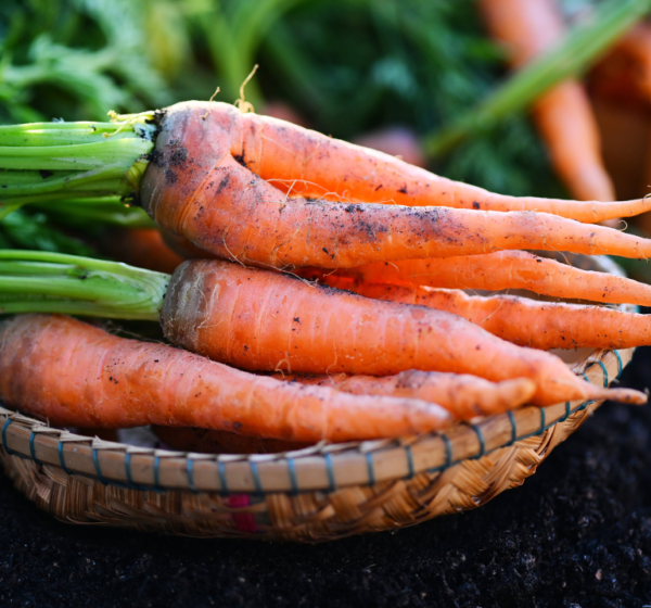 Carrot | गाजर | Gajar, 1 kg