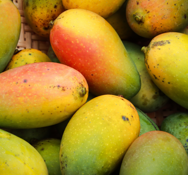 Mango | आम | Aam, 1 kg