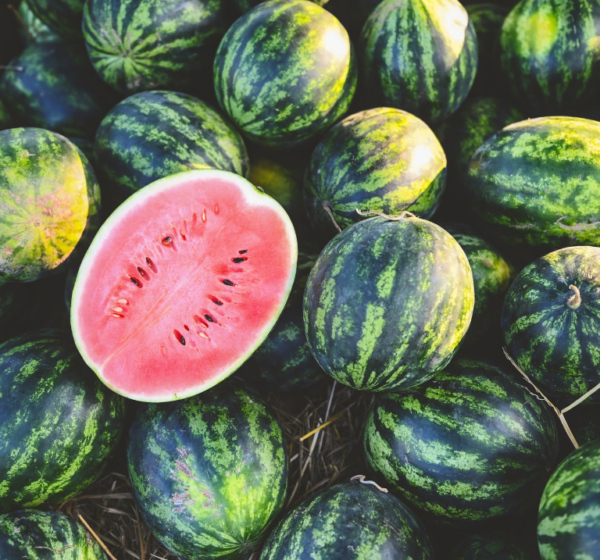 Watermelon | तरबूज | Tarbooj , 1 kg