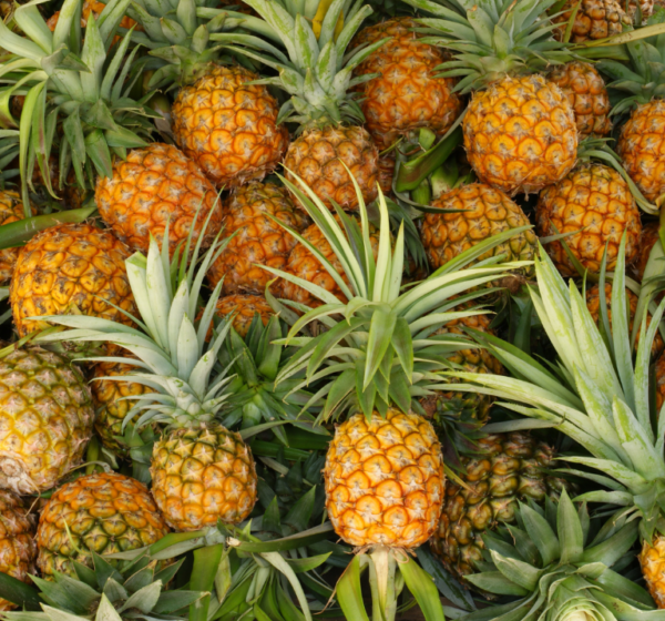 Pineapple | अनानास | Ananas, 1 kg