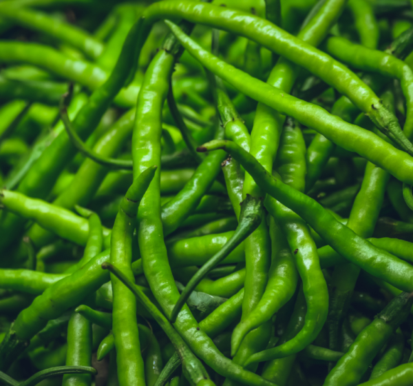 Green Chili | हरी मिर्च | Hari Mirch, 1 kg