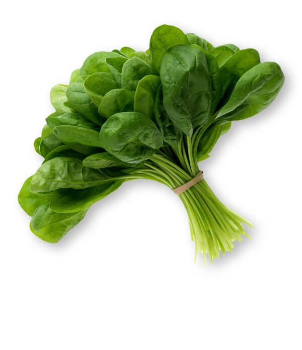 Spinach | पालक | Palak, 1 kg