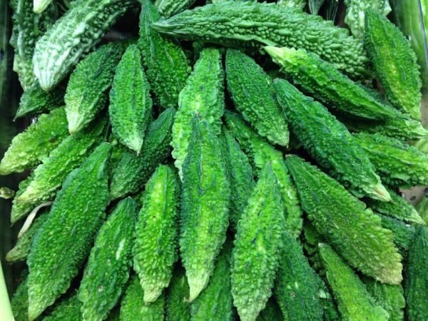 Bitter Gourd | करेला | Karela, 1 kg