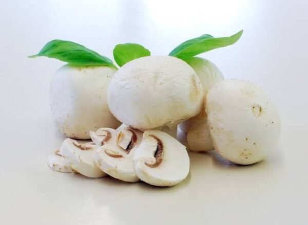 Mushroom | मशरूम | Mushroom, 1 kg