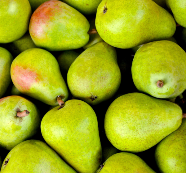 Pear | नाशपाती | Nashpati, 1 kg